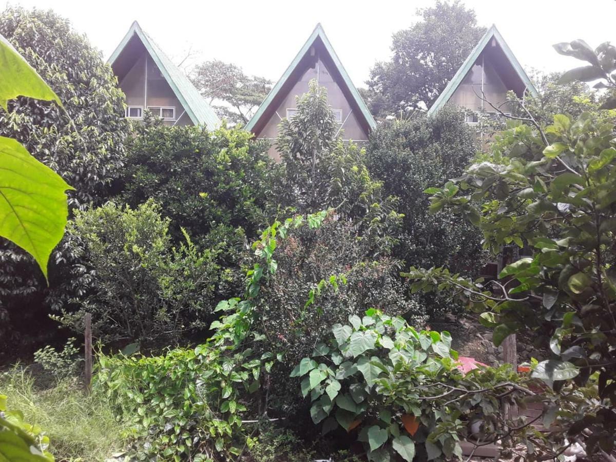 Fireside Inn&Grill Boquete Exterior foto